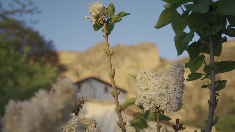 Cortijo El Chorreadero En Parque Natural Sierra De Cazorla Los Rosales  Ngoại thất bức ảnh